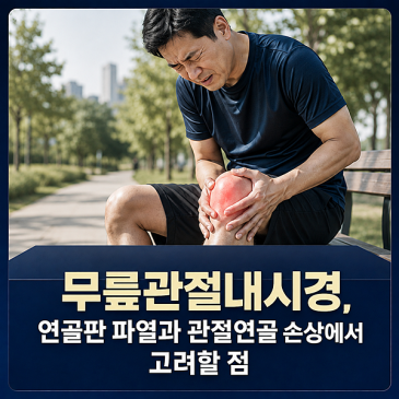 무릎관절내시경, 연골판 파열과 관절연골 손상에서 고려할 점 대표 이미지